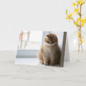 Hosico-gedachte Kaart (Gele Bloem)