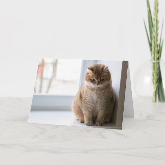 Hosico-gedachte Kaart (Voorkant)