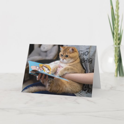 Hosico leest een boek kaart (Voorkant)