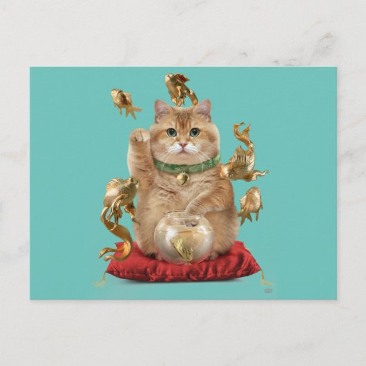 Hosico Maneki-neko Briefkaart (Voorkant)