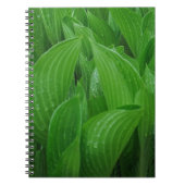 Hosta bladeren met regendruppels Notitieboek (Voorkant)