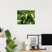 Hosta Bladeren Poster (Thuiskantoor)