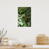 Hosta dans une affiche de jardin zen (Cuisine)