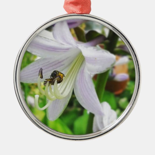 Hosta en een insect metalen ornament (Voorkant)