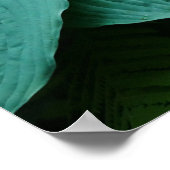 Hosta en Fern Poster (Hoek)