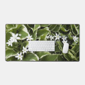 Hosta Feuilles et blanc Ornithogalum Floral (Clavier et souris)