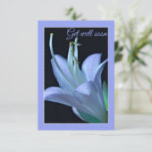 Hosta Flower Blue en Paarse Get Well Binnenkort Ka (Staand voorkant)