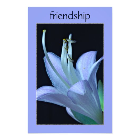 Hosta Flower Ornate Purple Friendship Photo Imprim (Devant)