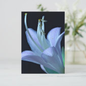 Hosta Flower Paarse en Blauwe Classic Bloemen (Staand voorkant)
