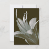 Hosta Flower Photography, Elegante Sepia (Voorkant)