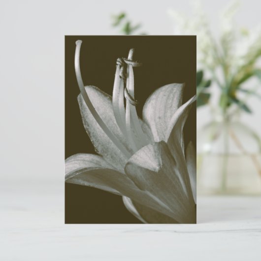 Hosta Flower Photography, Elegante Sepia (Staand voorkant)