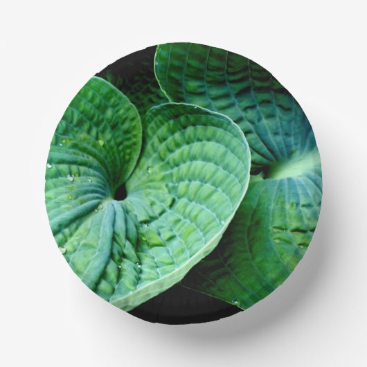 Hosta Heart Papieren Kommen (Voorkant)