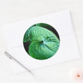 Hosta Heart Ronde Sticker (Envelop)