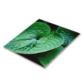 Hosta Heart Tegeltje (Zijkant)