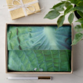 Hosta Heart Tissuepapier (Geschenk)