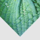 Hosta Heart Tissuepapier (Detail)