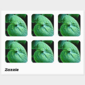 Hosta Heart Vierkante Sticker (Vel)
