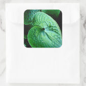 Hosta Heart Vierkante Sticker (Tas)