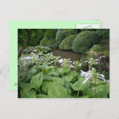 Hosta in a Zen Garden 2 Carte postale (Devant / Derrière)