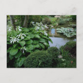 Hosta in the Zen Garden 3 Carte postale (Devant)