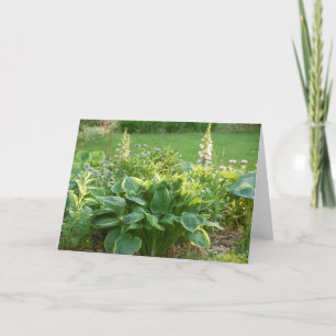 Hosta Kaart