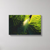 Hosta Leaf op Black Canvas Afdruk (Voorkant)
