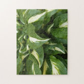 Hosta Leaves Legpuzzel (Verticaal)