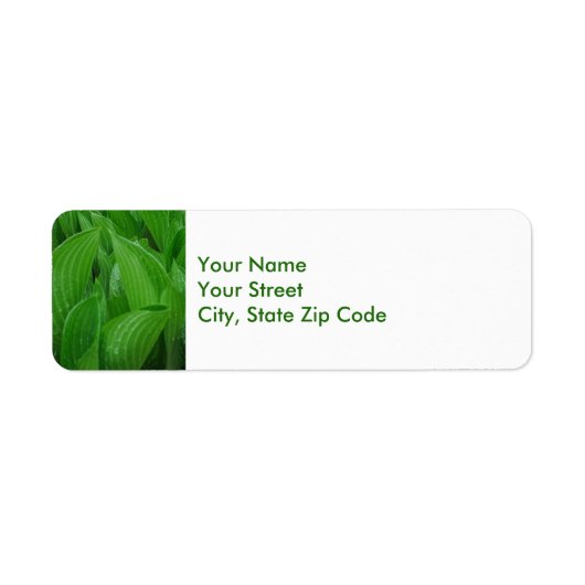 Hosta Leaves met Raindrops-labels voor retouradres Etiket (Voorkant)