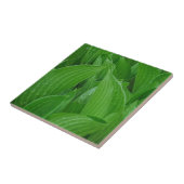 Hosta Leaves met Raindrops Tile Tegeltje (Zijkant)