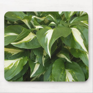 Hosta Leaves Muismat