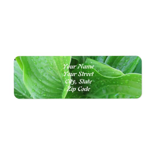 Hosta Leaves Return Address Labels (Voorkant)