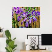 Hosta Paarse Bloem Tuin Poster (Thuiskantoor)