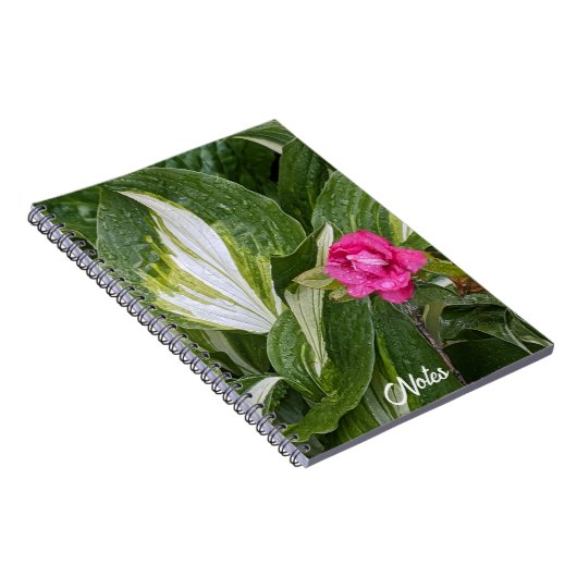 Hosta Plant en Roze Azalea Bloemen Notitieboek (Rechterzijde)