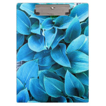 Hosta Plant Klembord