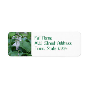 Hosta Plant retouradres verzendlabels Etiket