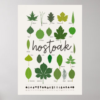 Hostoak Hojas Poster