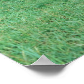 Hosvee Poster (Hoek)