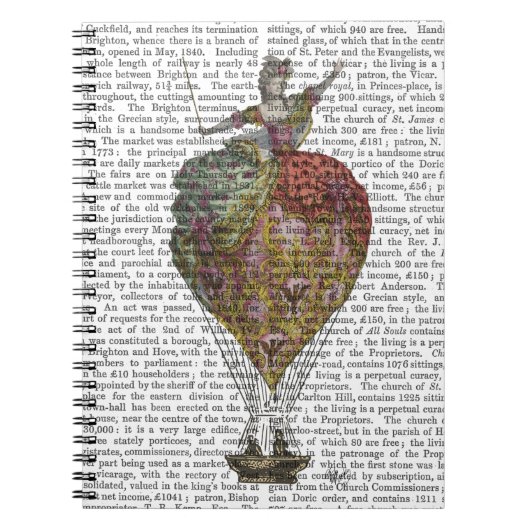 Hot Air Ballon Woman 3 Notitieboek (Voorkant)