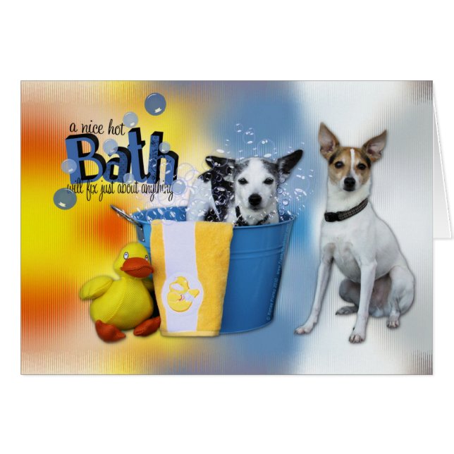Hot Bath - Rat Terrier (Voorkant Horizontaal)