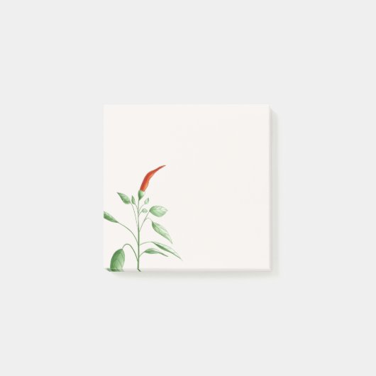 Hot Chili Pepper Plant Botanische illustratie Post-it® Notes (Voorkant)