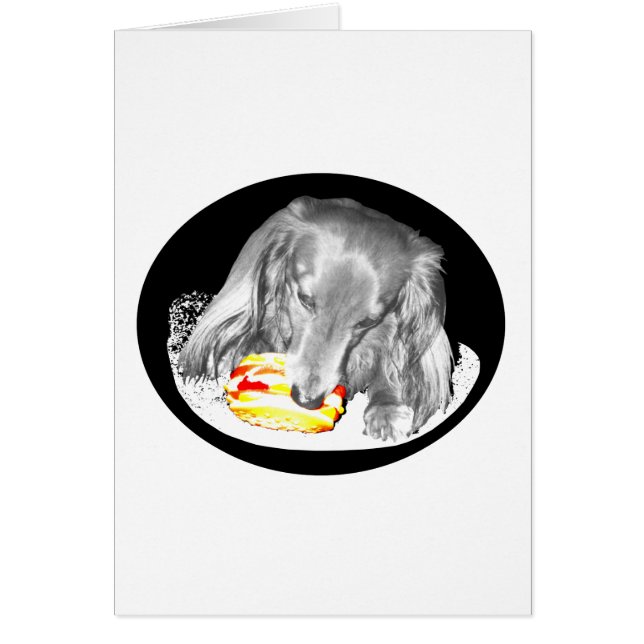 Hot Dog Attaque Cheeseburger, Nouvelles À Eleven. (Devant)