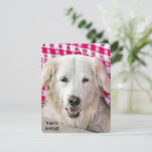 Hot Dog Fry uitnodiging (Staand voorkant)