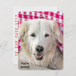 Hot Dog Fry uitnodiging