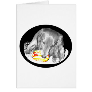 Hot Dog is een aanval op Cheeseburger, nieuws bij 