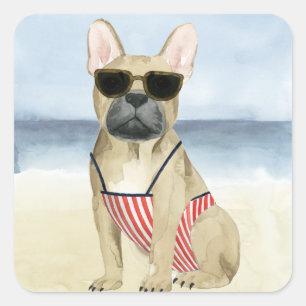 Hot Dog   Puppy in zonnebril bij het strand Vierkante Sticker