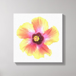 Hot Hibiscus Canvas Afdruk