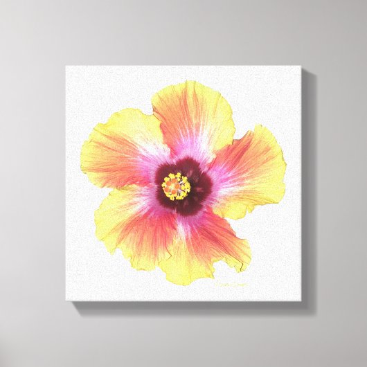 Hot Hibiscus Canvas Afdruk (Voorkant)