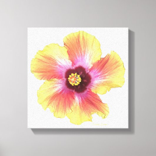 Hot Hibiscus Canvas Afdruk (Voorkant)