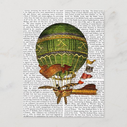 Hot-luchtballon, groen briefkaart (Voorkant)