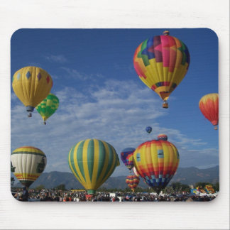 Hot-luchtballon Muismat